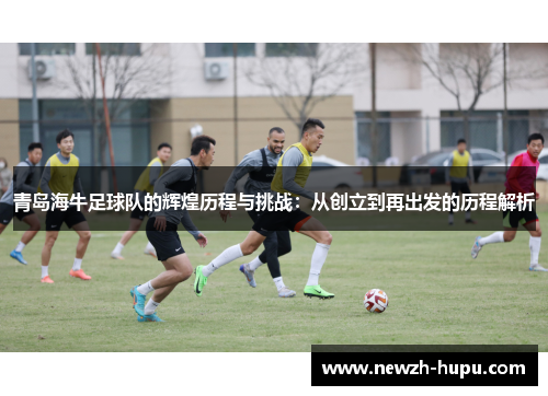 青岛海牛足球队的辉煌历程与挑战：从创立到再出发的历程解析
